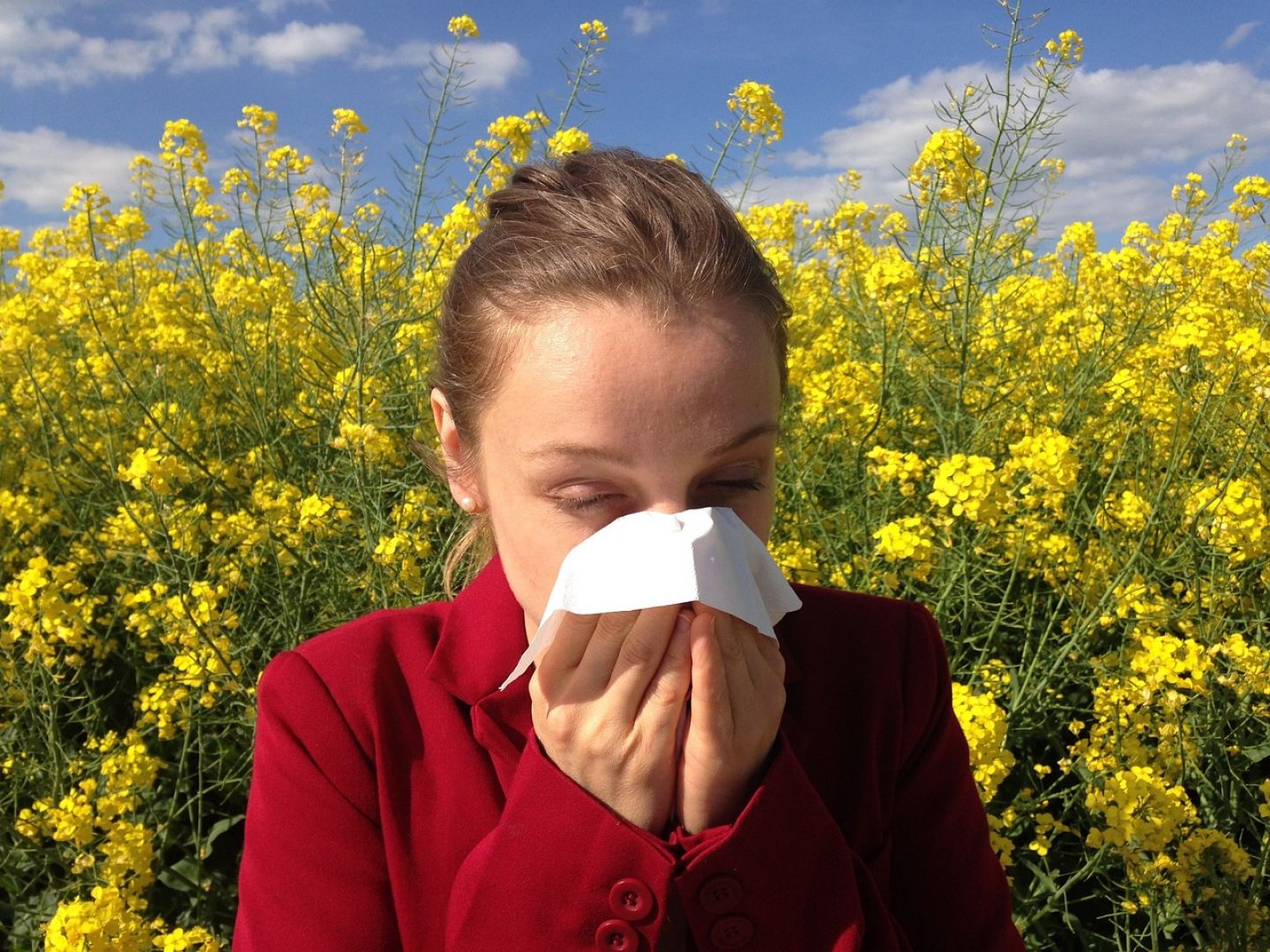 ¿Sabes cuáles son los síntomas de la alergia?