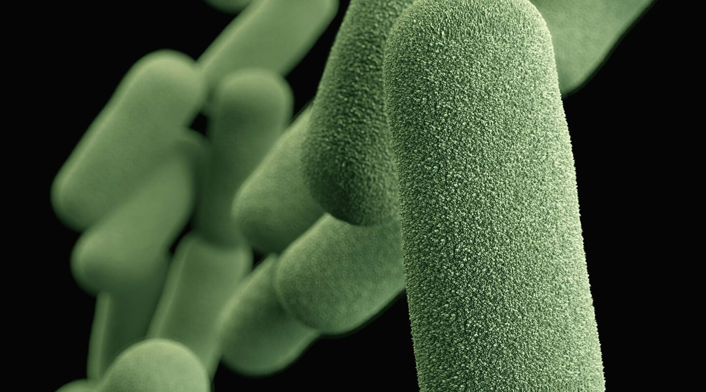 ¿Qué es la resistencia bacteriana?