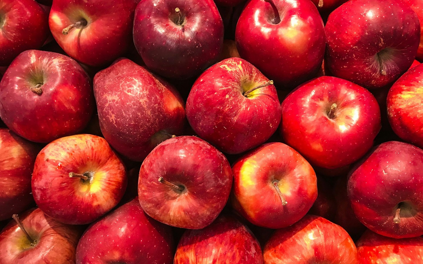 Vinagre de manzana: ¿Mito o aliado real para la sensibilidad a la insulina?