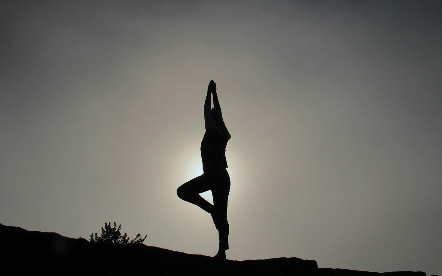 Resiliencia cardiovascular: Fortaleciendo la mente para sanar el cuerpo